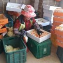 세동농장 이미지