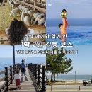 서해목장 | 강릉 아이와 1박 2일] 양떼목장부터 꼬막 비빔밥, 인피니티 온수풀 호텔 솔직 후기 (ft. 뜻밖의 힐링 스팟)