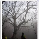 숲길민박 이미지