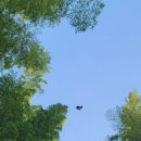 그린농원식당 이미지