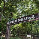 인천 남동구 숨은 산책 명소 | 장아산 무장애나눔길