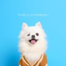 위드비스튜디오