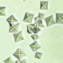 포천동물병원 이미지