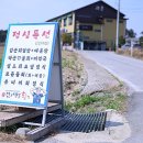 강릉김군박군횟집