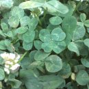 무안스포츠파크 야구장 이미지