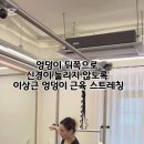 [위아요가/아차산역 필라테스] 리포머에서 하는 이상근 스트레칭 전신운동 이미지