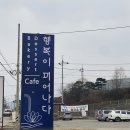 156 | [남양주/수동면 카페] 행복이 피어나다 / 빵과 커피가 맛있는 예쁜 카페