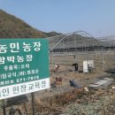 서정덕농장 티스토리