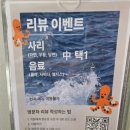 수원-0558 | 인계동맛집 산낙지전문점 낙중지생에서 뜨끈하게 연포탕으로 몸보신 하고온 후기(애견동반o, 테라스 o)