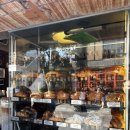 짱구절임 | 짱구 맛집 추천 | 기기수수, 센소리움, 스모크 솔직 후기