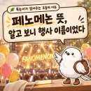 페노메논 카카오 검색결과