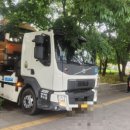 호돌이카 이미지