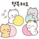 김제화랑태권도 이미지