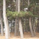 춘장대 노래연습장 이미지