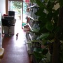 황제 동물병원 이미지