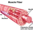 명성당한의원 이미지
