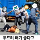 한심한 진돗개 동호회 카페 이미지