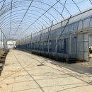 종근목장 | 모종 판매 농가 직거래 하세요