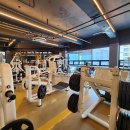 몸스타휘트니스 이미지