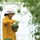 너래안농장 이미지