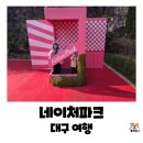 네이처픽 | 대구 가창 나들이 또 다녀온 네이처파크 아기백사자 소식과 예약방법