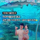 아쿠아플라넷 광교 후기｜아이와 가볼만한 곳, 인어공주 공연부터 주차까지