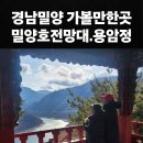 밀양호전망대 이미지