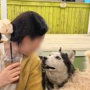 원커피 | 강남 루프탑 카페 이순재카페로 유명한 테이크원커피 내돈내산 솔직후기