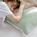 보송보송 이미지