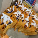 용인대 한라태권도 이미지