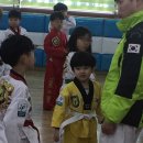 용인대태권도 이미지