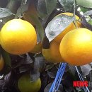 (주)자연에너지 이미지