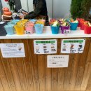 닭이랑 알이랑 농장 | 용인 아기랑 가볼만한 곳 | 무럭무럭 농장 방문 후기, 먹이주기 체험, 네이버 예약 🐑🐽🪺