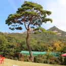 북한산정육식당