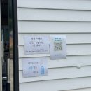 별빛수족관 | 포천 담터계곡 별빛 캠핑장 2박 3일 후기 | 넓은 사이트 &amp; 수심 3M 계곡 도보 8분