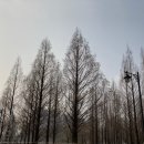 호수의아침 이미지