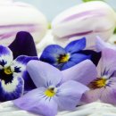 웰빙테라피 - 동해시 감추7길 41 | 웰빙테라피