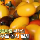 부자 농장 이미지