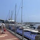 세븐일레븐안목항점 이미지