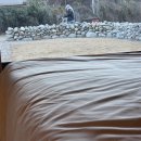 지수펜션 이미지