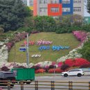 수리산역 | 🌸수도권 봄꽃 여행 4호선 수리산역 군포 철쭉동산 늦은 방문 솔직 후기