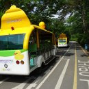 사문진로 이미지