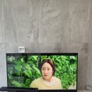 수일컴퍼니