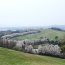 웰빙한우 이미지