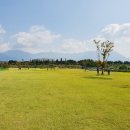 원오교 파크골프장 이미지