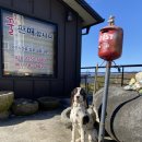 덕치리 초가 | 251121 금 지리산둘레길