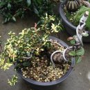 청암농장 이미지