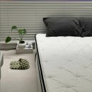 탄탄 | 딱딱한 매트리스 버리고 선택한 폭신탄탄 침대 후기