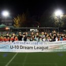 꿈나무수정 이미지