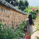 남평버스정류장 이미지